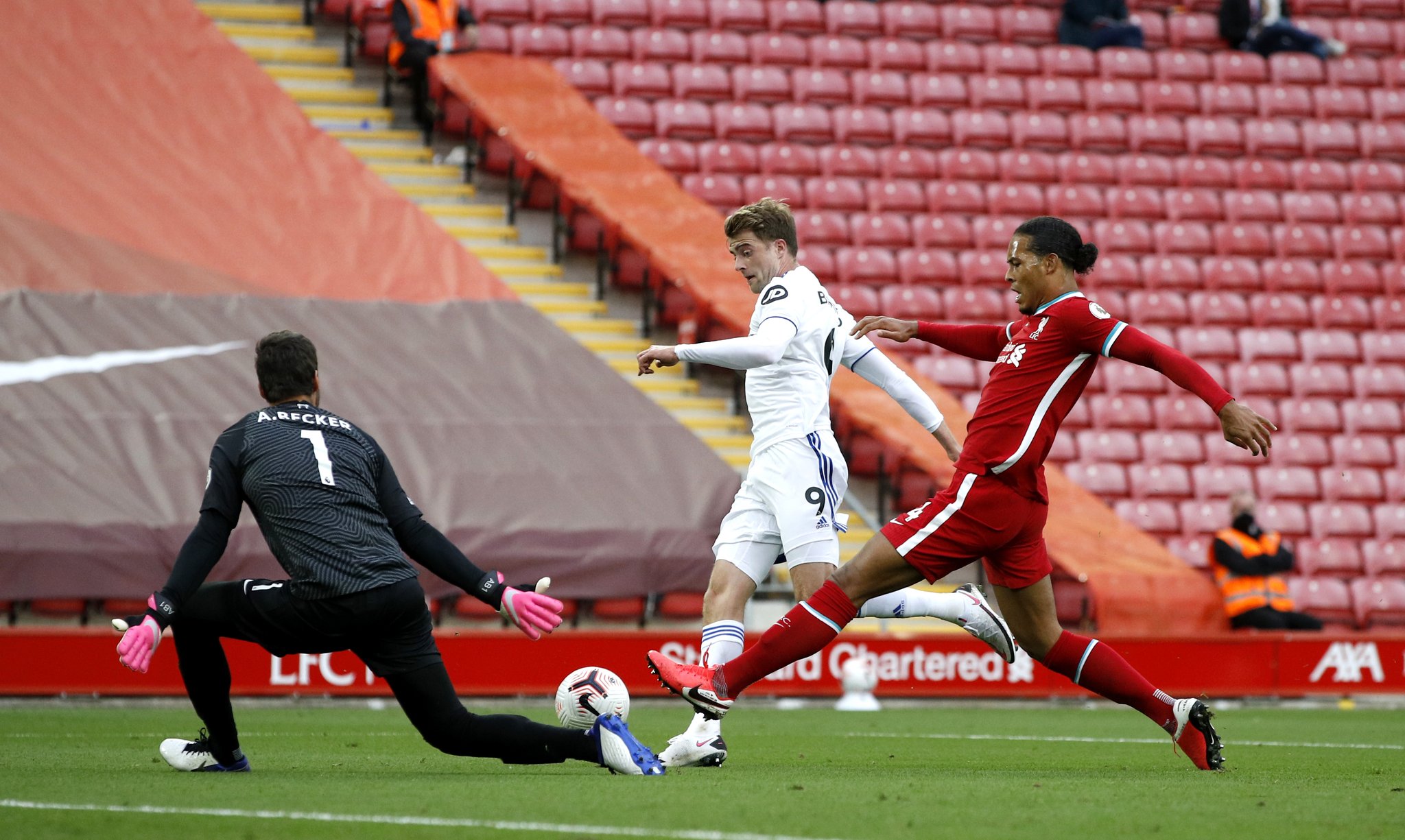 我们看到的 我们看到的